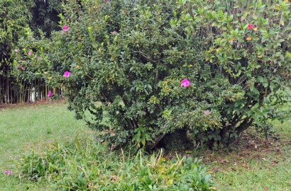 Linda chácara para venda em Carmo de Minas MG