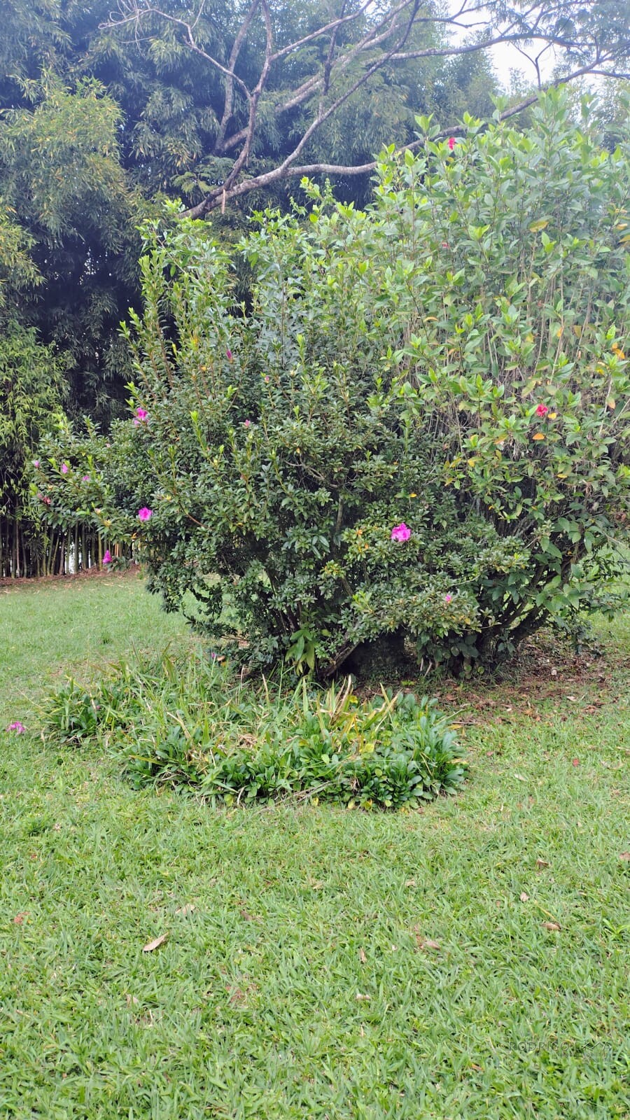 Linda chácara para venda em Carmo de Minas MG