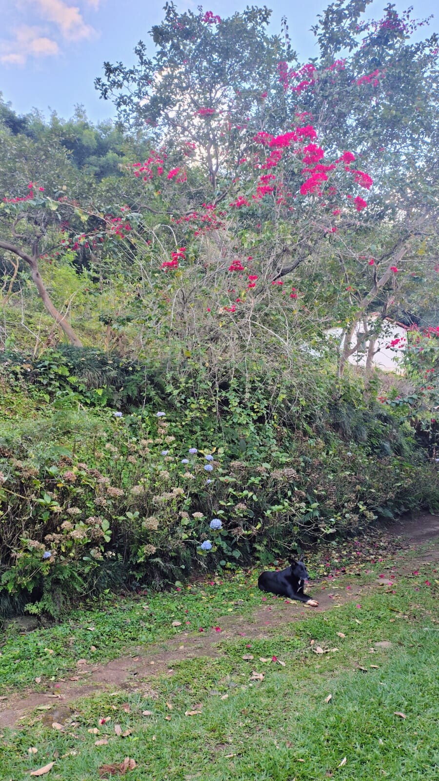 Linda chácara para venda em Carmo de Minas MG