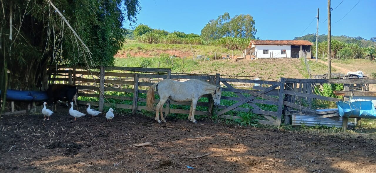Propriedade para venda em Carmo de Minas MG