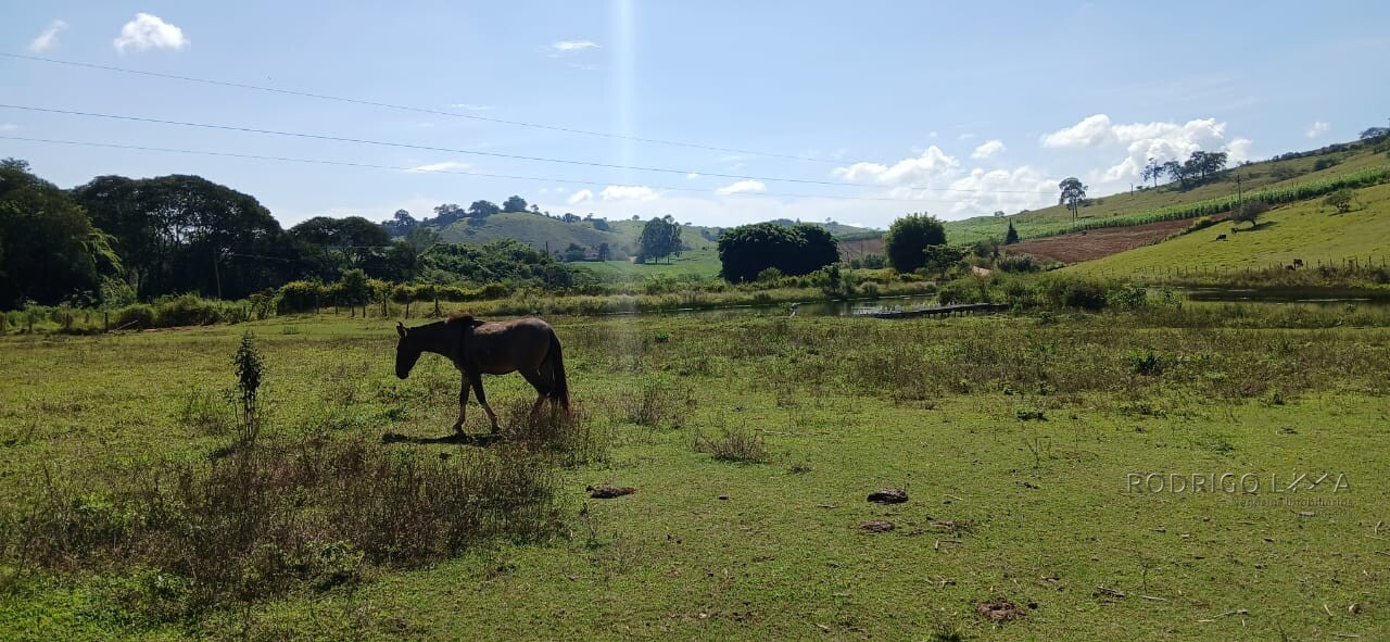 Propriedade para venda em Carmo de Minas MG