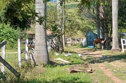 Propriedade para venda em Carmo de Minas MG