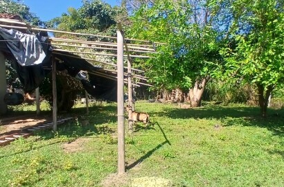 Propriedade para venda em Carmo de Minas MG