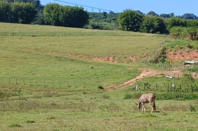 Propriedade para venda em Carmo de Minas MG