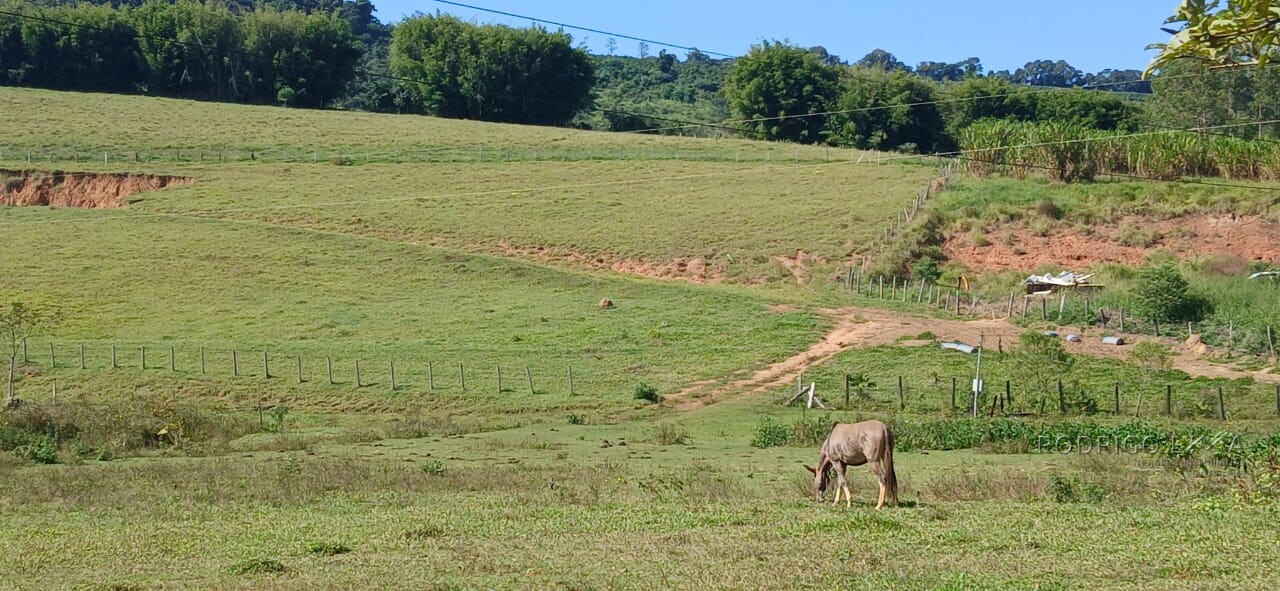 Propriedade para venda em Carmo de Minas MG