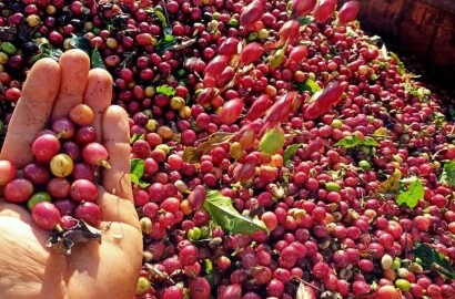 Linda fazenda para venda em Luminárias Mg