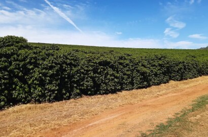 Linda fazenda para venda em Luminárias Mg