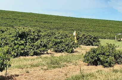 Linda fazenda para venda em Luminárias Mg