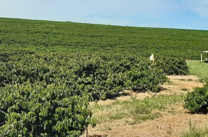 Linda fazenda para venda em Luminárias Mg