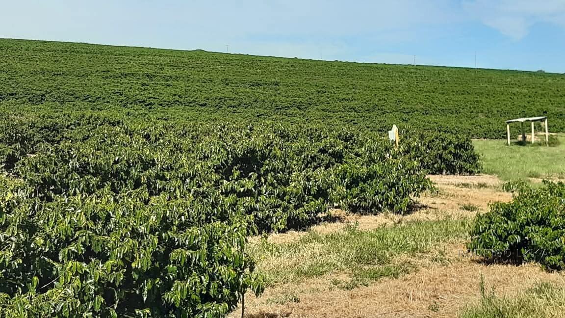 Linda fazenda para venda em Luminárias Mg