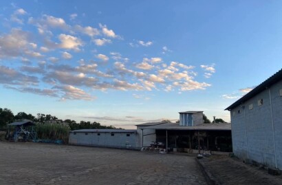 Linda fazenda para venda em Luminárias Mg