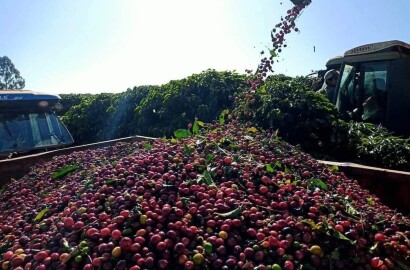 Linda fazenda para venda em Luminárias Mg