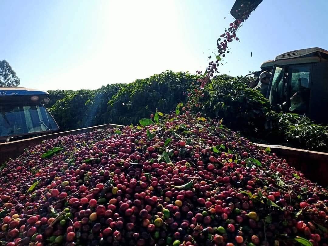 Linda fazenda para venda em Luminárias Mg