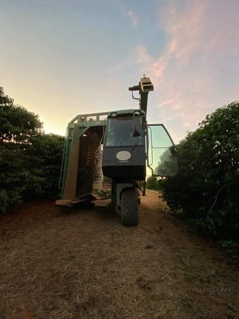 Linda fazenda para venda em Luminárias Mg