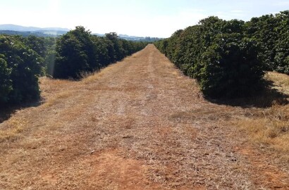 Linda fazenda para venda em Luminárias Mg
