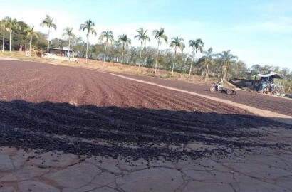 Linda fazenda para venda em Luminárias Mg