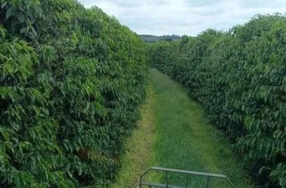 Linda fazenda para venda em Luminárias Mg