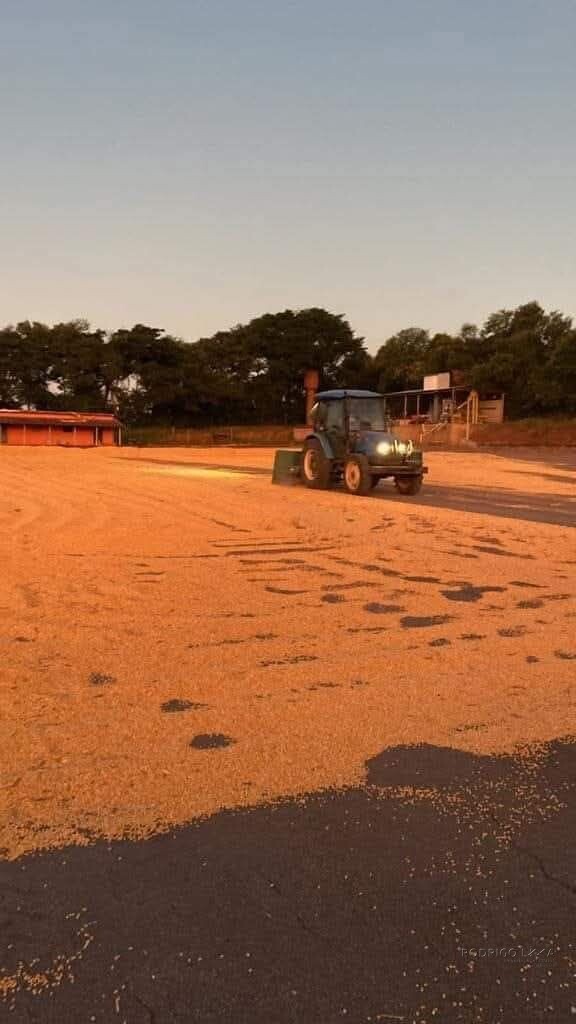 Linda fazenda para venda em Luminárias Mg