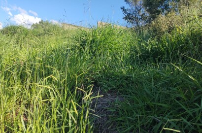 Lote para venda em São Lourenço Mg