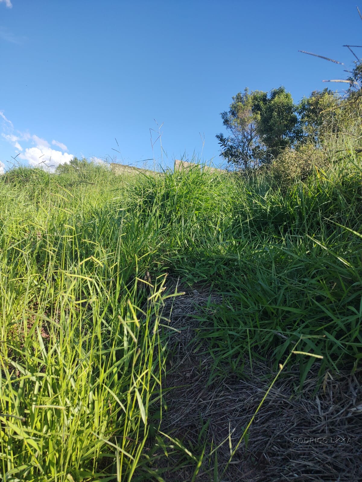 Lote para venda em São Lourenço Mg
