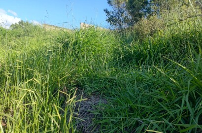 Lote para venda em São Lourenço MG