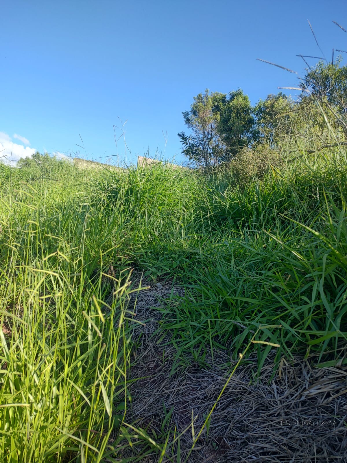Lote para venda em São Lourenço MG