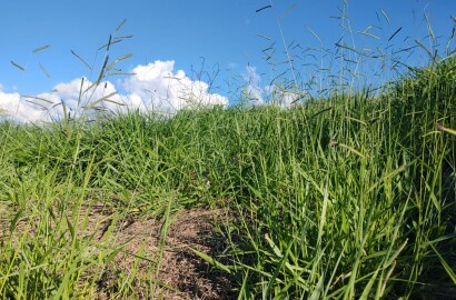 Lote para venda em São Lourenço MG