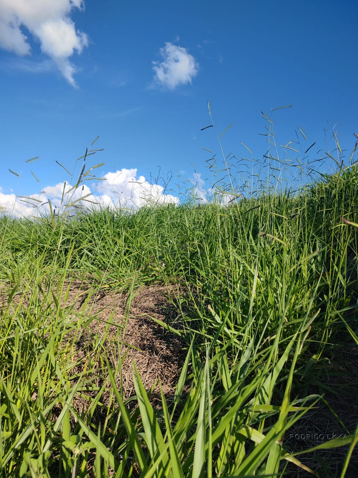 Lote para venda em São Lourenço MG