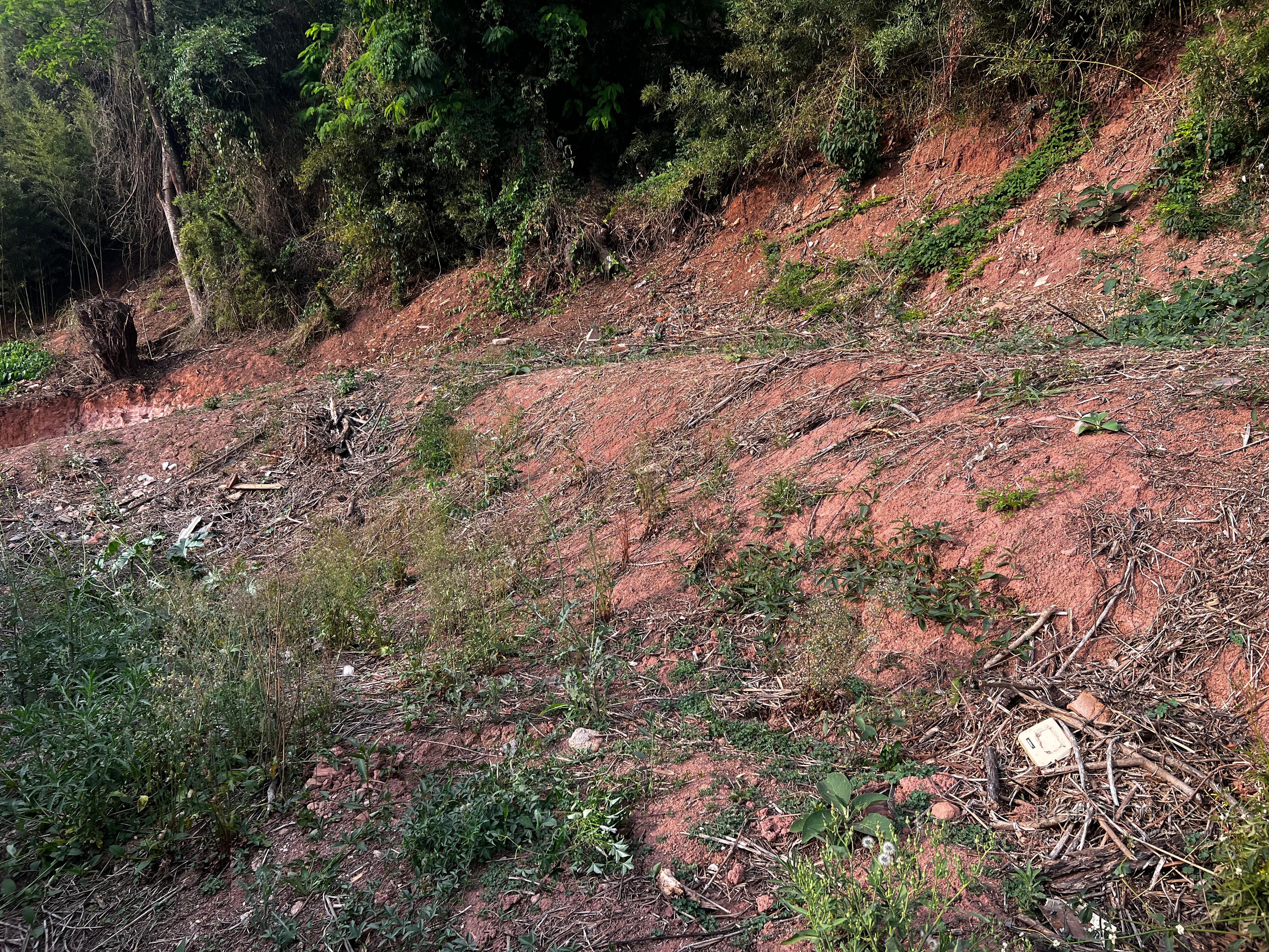 Lote para venda no centro de São Lourenço MG