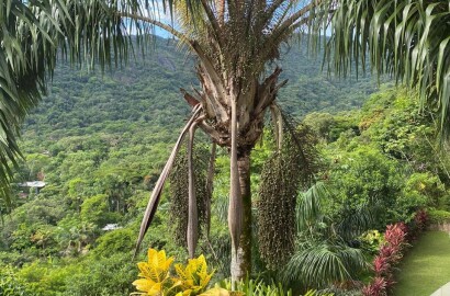 Luxuosa mansão para venda em Ubatuba SP.