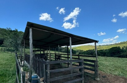 Sítio para venda em Dom Viçoso MG