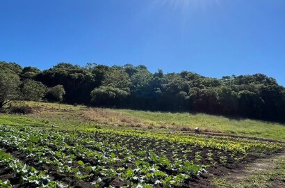 Sítio para venda em Dom Viçoso MG