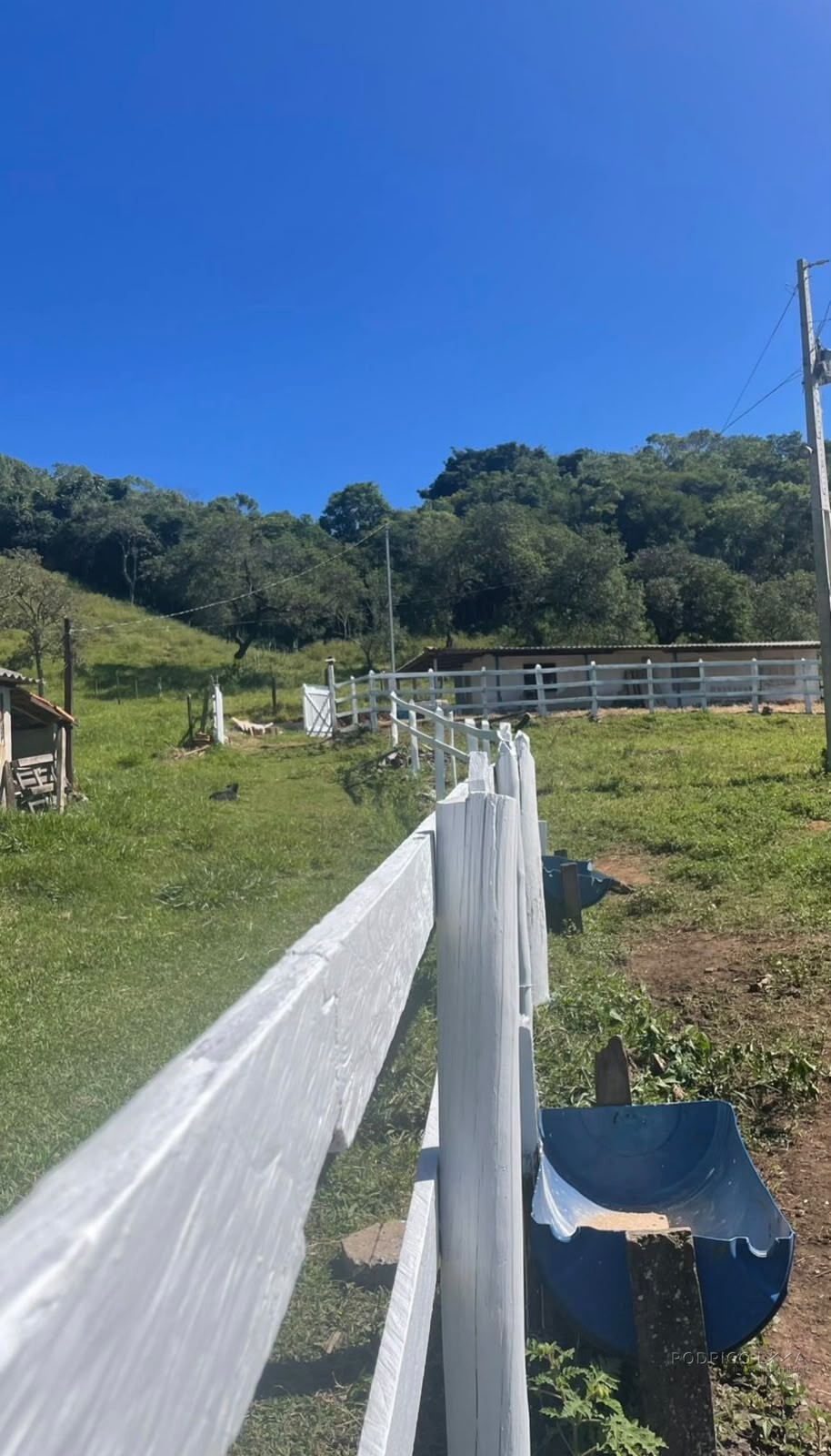Sítio para venda em Dom Viçoso MG
