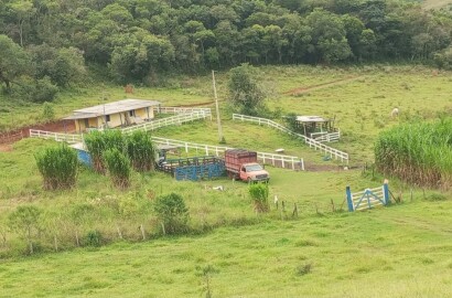 Sítio para venda em Dom Viçoso MG