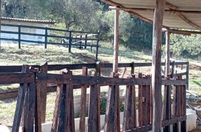Sítio para venda em Dom Viçoso MG