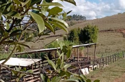 Sítio para venda em Dom Viçoso MG