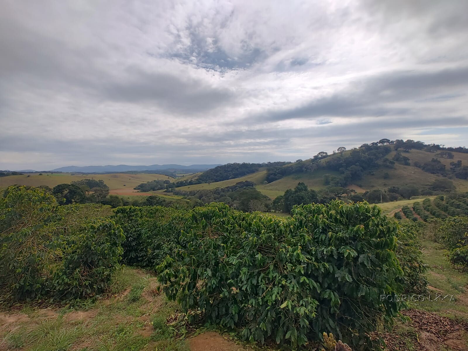 Sítio para venda em Carmo de Minas MG