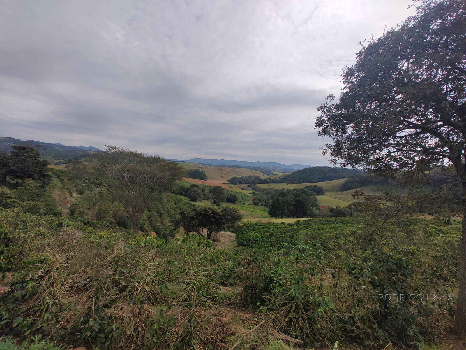 Sítio para venda em Carmo de Minas MG