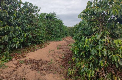 Sítio para venda em Carmo de Minas MG