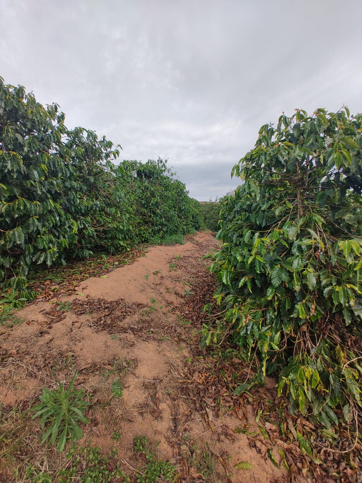 Sítio para venda em Carmo de Minas MG