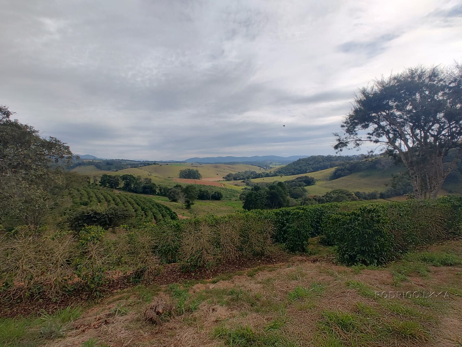 Sítio para venda em Carmo de Minas MG