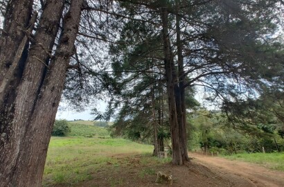 Sítio para venda em Carmo de Minas MG