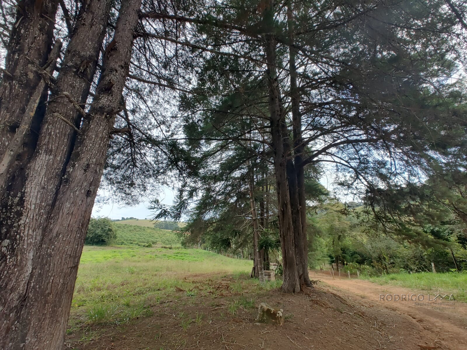Sítio para venda em Carmo de Minas MG
