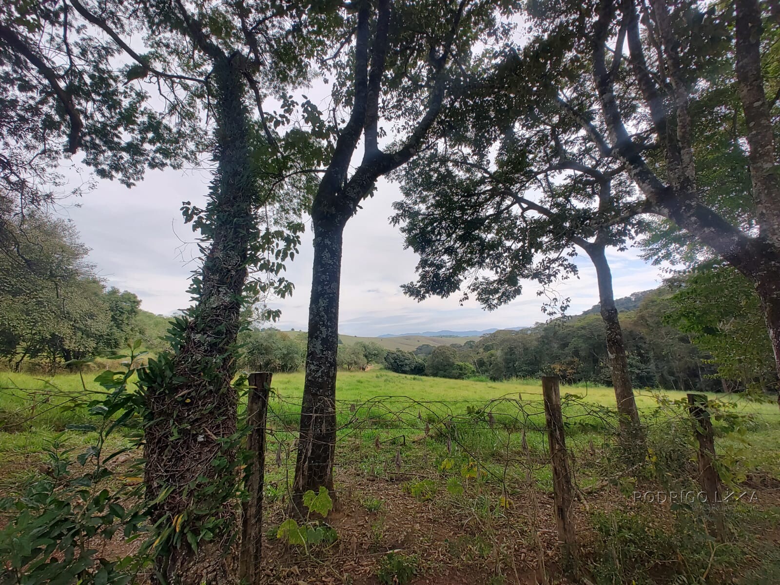 Sítio para venda em Carmo de Minas MG