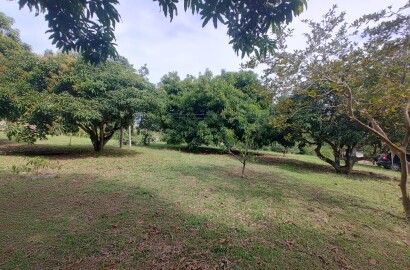 Sítio para venda em Carmo de Minas MG