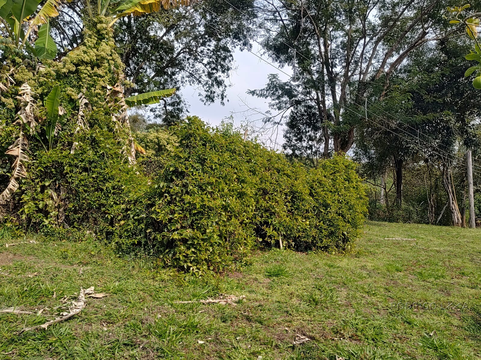 Sítio para venda em Carmo de Minas MG