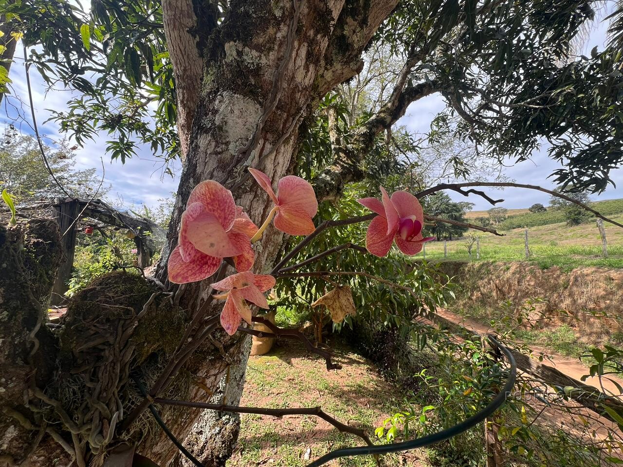 Sítio para venda em Carmo de Minas MG