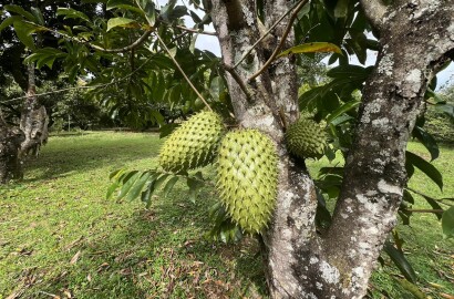 Sítio para venda em Carmo de Minas MG