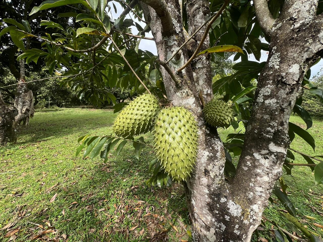 Sítio para venda em Carmo de Minas MG