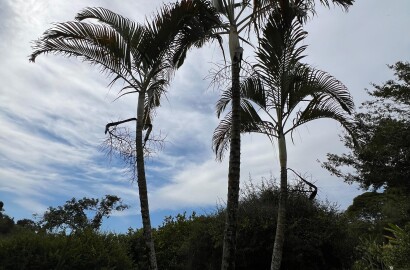 Sítio para venda em Carmo de Minas MG